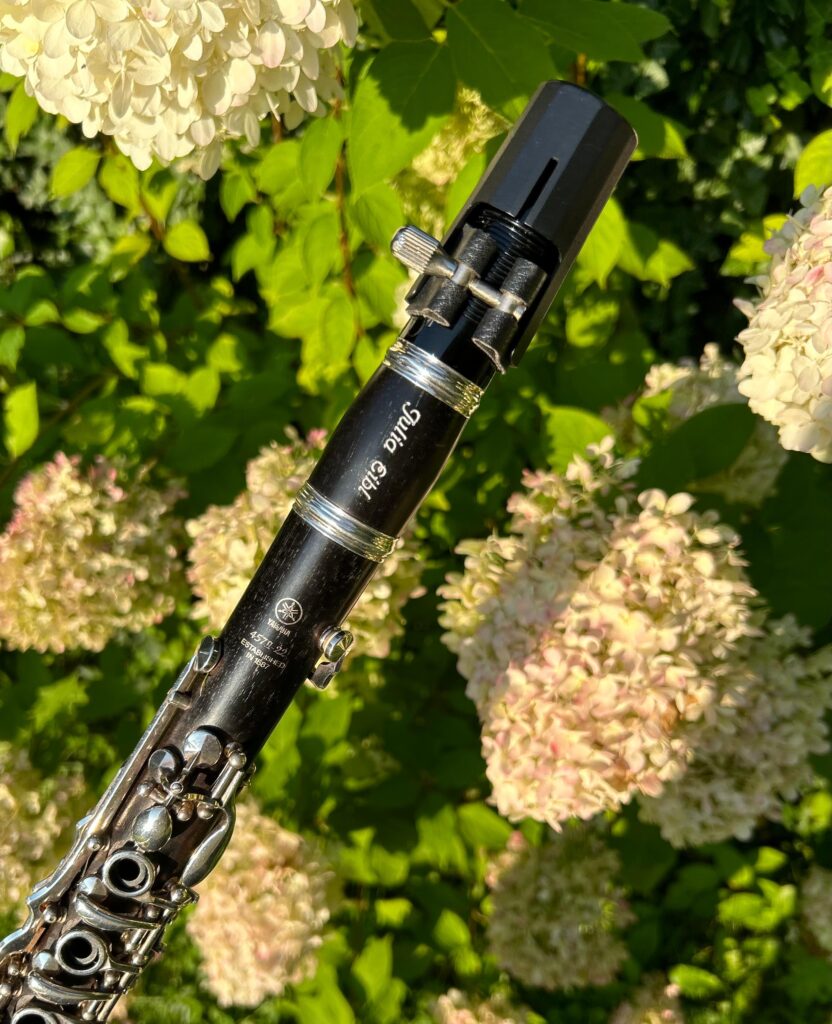 Musikinstrument mit Laser beschriftet